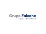 Grupo Falcone Bienes Raices