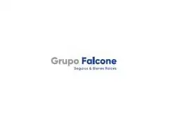 Grupo Falcone Bienes Raices