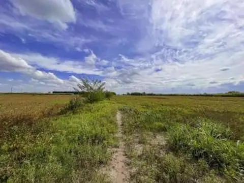 VENTA CAMPO APTO LOTEO Y/O DESARROLLO LOGÍSTICO/INDUSTRIAL