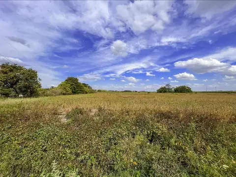 Camino Rural Campo Soso y El Hornero