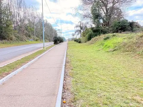 Acceso Calabacilla 100