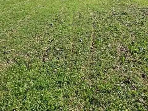 San Francisco - Villanueva 0