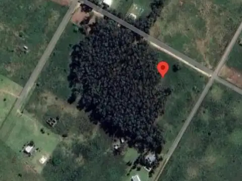 Terreno en Venta de 14169,0 m2