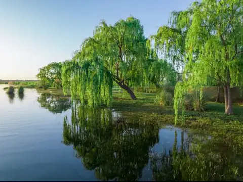 7 hectareas con 5 cabañas y 1 casa a orillas del rio Atuel