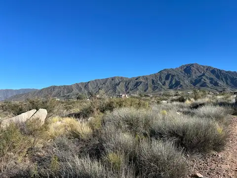 Terreno en Venta de 8731,0 m2