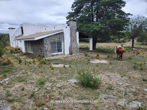 VENTA CAMPO 106 HECTAREAS TRASLASIERRAS. PANAHOLMA