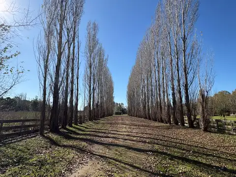 Ruta nacional 7 100