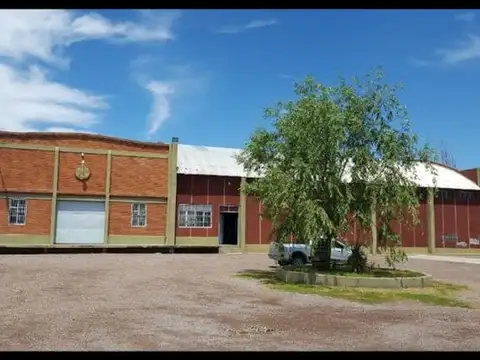 BODEGA VENTA EN FUNCIONAMIENTO SAN MARTIN MENDOZA