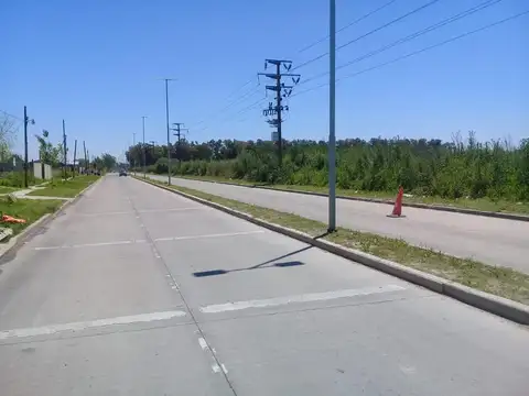 Arbolada de Longchamps. B° Parque. Espora esq Zeballos