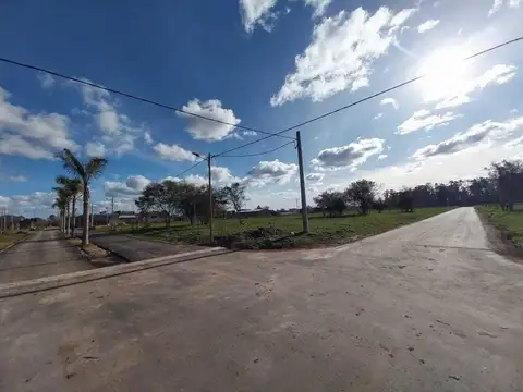 Terreno en Venta 21  mts Fondo