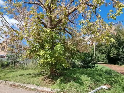 Terreno en Venta de 195,0 m2