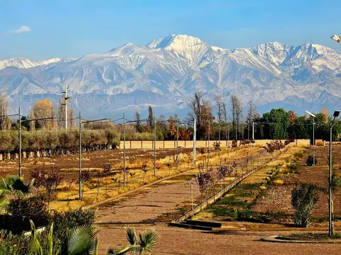 Terreno en Venta de 300,0 m2