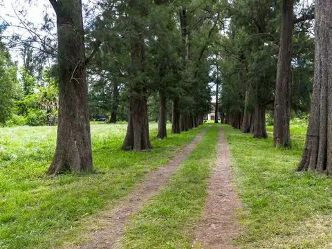 Terreno en Venta en General Rodriguez, USD 2.100.000