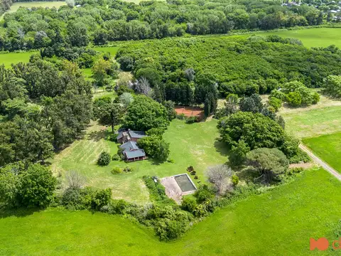 Alberto Bufano y Almafuerte