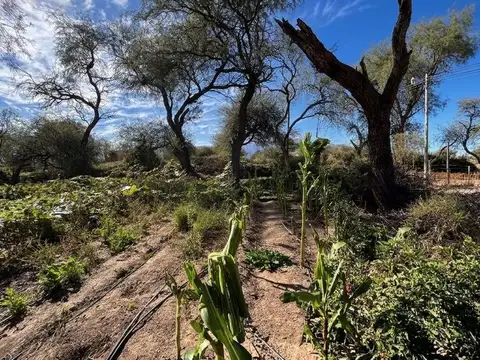 Terreno en Venta de 300,0 m2