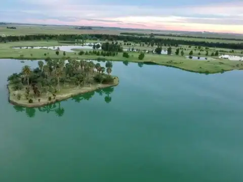 Terreno en Venta en Funes, USD 415.000