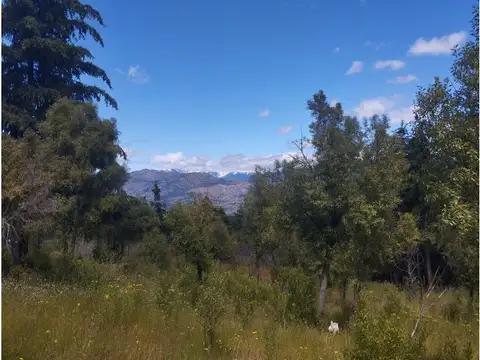Terreno en Venta de 5026,45 m2