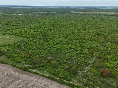 SE VENDE CAMPO GANADERO EN LA SARITA