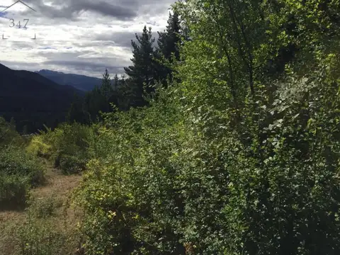 (021) EL HOYO (Rincon de Lobos) Chacra de 4Has