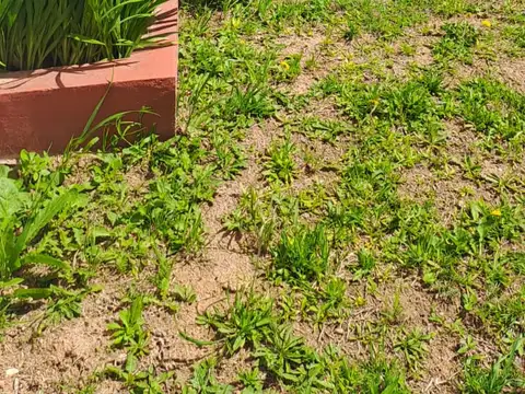 Casa en Venta en San Carlos