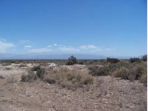 Ruta 40 100