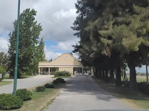 Calle Arturo Capdevila