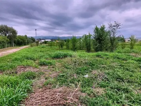 Terreno en Venta de 491,31 m2
