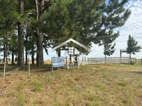 Ruta 42