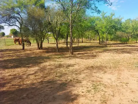 VENDO LOTE -EL MANANTIAL-