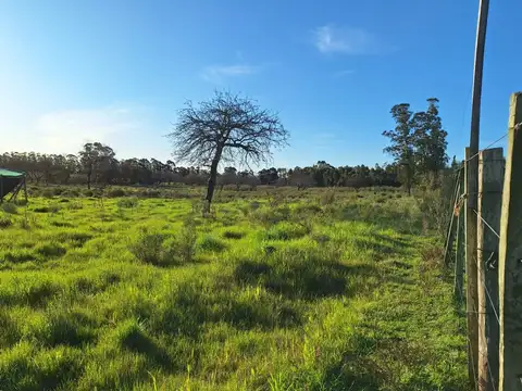 Alquiler campo 5 Ha. Ruta 8 Km. 34 Rincón de Pando