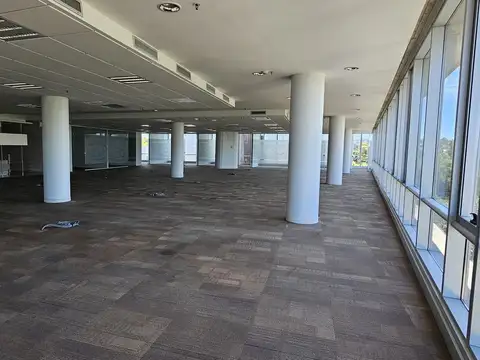 Oficina en Alquiler con 12 cocheras