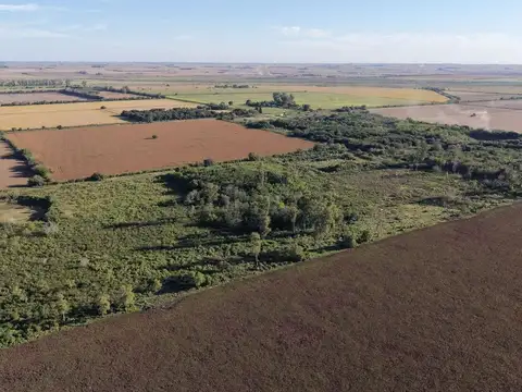 CAMPO EN GESSLER 2,5 HECTAREAS