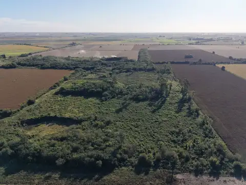 CAMPO EN GESSLER 2,5 HECTAREAS