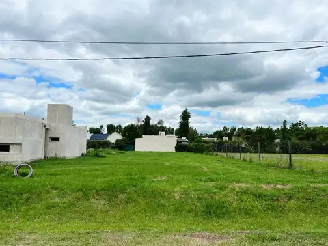 Las Acacias 1969