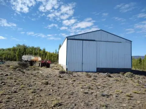 VENTA DE CAMPO, 19000 HA, PERITO MORENO
