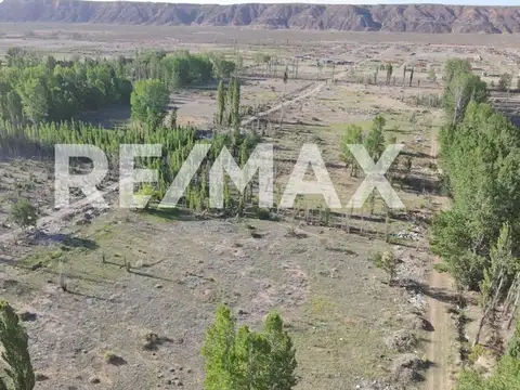 General Racedo y Fernandez oro