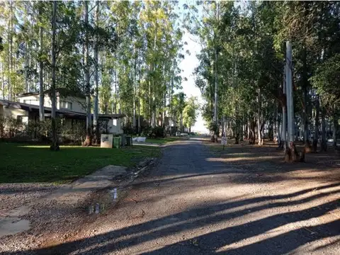 Terreno en Venta 34  mts Fondo