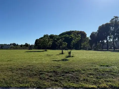 Terreno en Venta de 675,0 m2