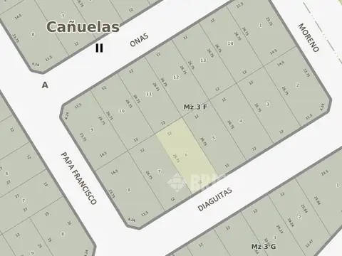 CHULUPIES Y PAPA FRANCISCO