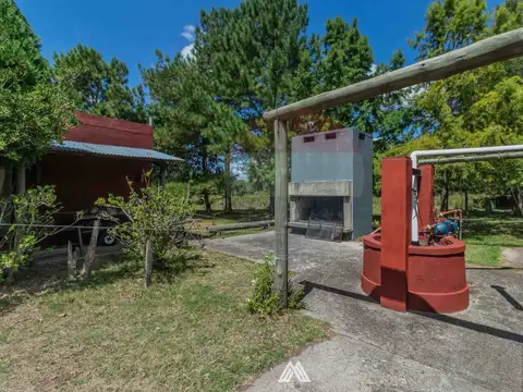 Venta CAMPO 29ha 2 CASAS en Est. Pedrera Ruta 88