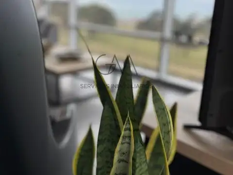 Departamento en alquiler Marzo a Diciembre 2026