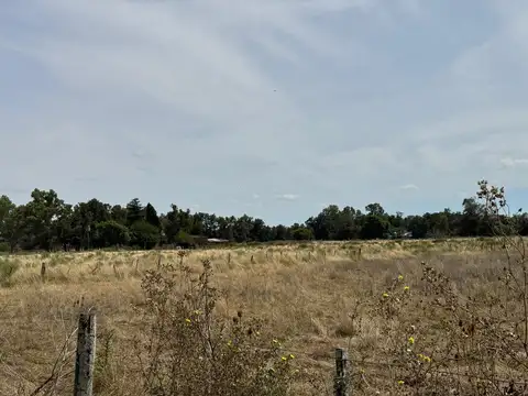 Campo en Venta Mixto