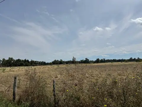 Campo en Venta de 12  ha