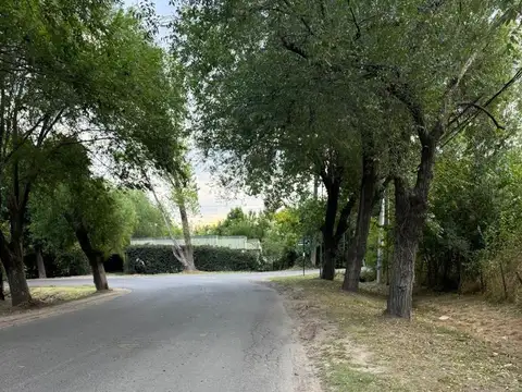 Lotes en Venta en Lisandro Olmos Etcheverry