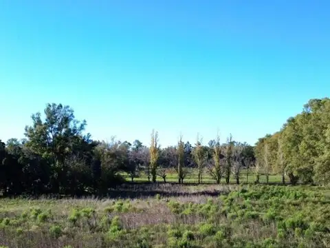 Terreno Campo  en Venta en Altos de Robles, Parada Robles, Exaltación de la Cruz