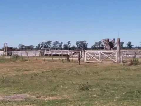 CAMPO MIXTO de 200 HAS - EXCELENTE APTITUD PRODUCTIVA Y COMPLETA INFRAESTRUCTURA – BRANDSEN