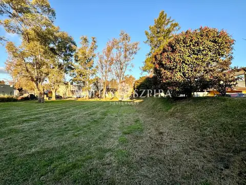 Andres Chazarreta 1100