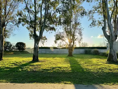 Terreno en Venta de 888,0 m2