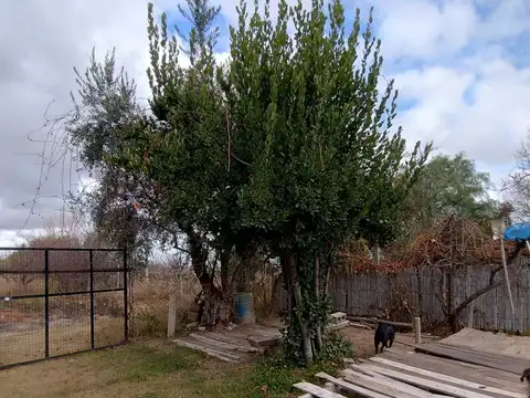 Casa con gran terreno en venta en San Martín