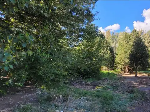 Terreno en Venta de 1269,73 m2